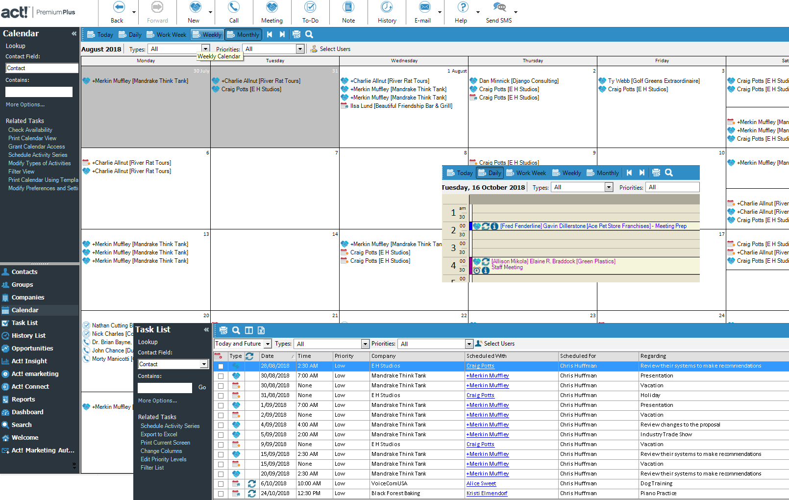 Act! Calendar Views